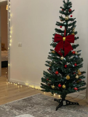 Negruzzi Apartment
